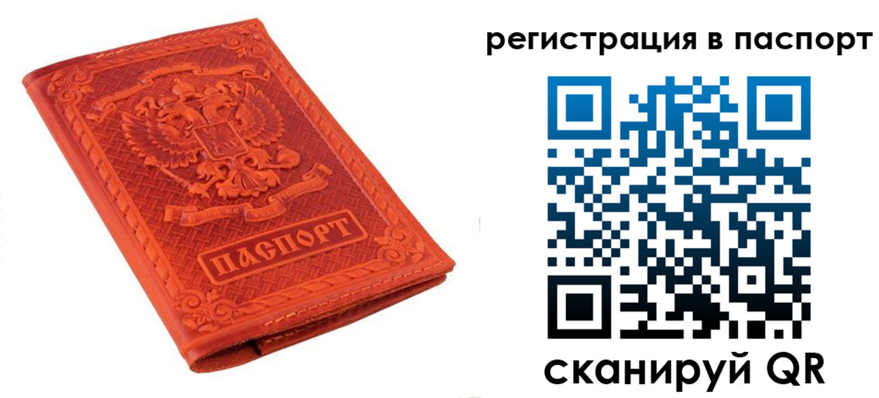 прописка паспорт в Волгоградской области